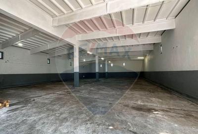 Hala de la 500 mp depozitare productie - 6