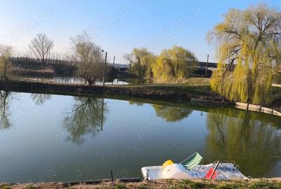 Casă cu Teren 15136 Mp în Central - 17