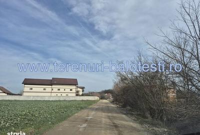 Spațiu comercial, în Balotești - 11