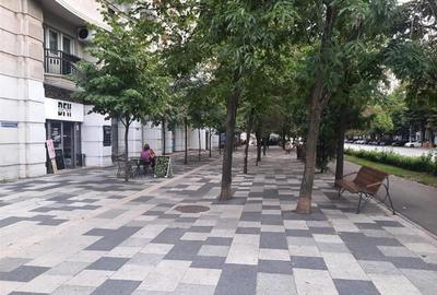 3 Camere, Decebal,  Centrala, 10 min Metrou, Pet Friendly (talie mica) - 10