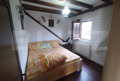 Cabana 2 nivele,88 mp utili,490 mp de teren,terasa,gratar,zona Vip,Baile Figa - 8