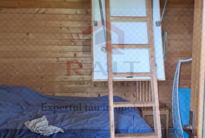 Casă cu 6 camere cu Teren 2700 Mp în Bradu - 16