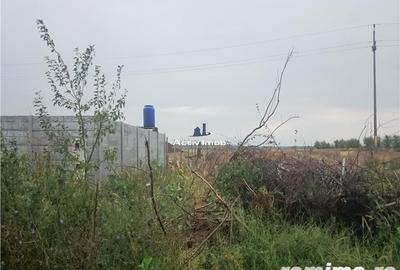 Teren de 5000 mp, în Ciolpani - 4