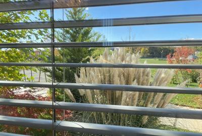 Masterpiece Villa*** 1140 mp Teren//Balotesti - 37