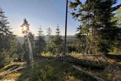 Spațiu comercial, în Ciocănești - 13