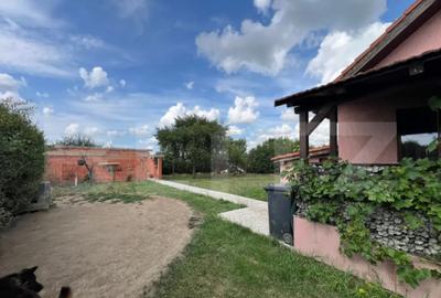 Casă cu 3 camere cu Teren 875 Mp în Botizului - 6