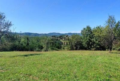 Teren de 8757 mp, în Luncoiu de Sus - 4