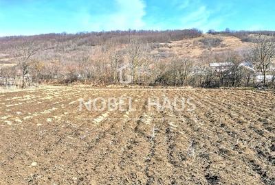 Casa, teren si padure, in sat Siscani, jud Vaslui - 15