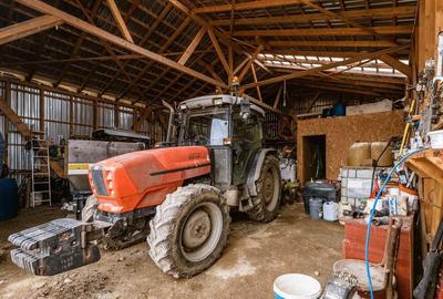 Vie de 115 Hectare in satul Dud, jude?ul Arad - 2