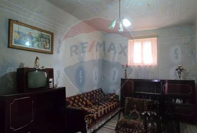 Casă cu 3 camere cu Teren 936 Mp în Socodor - 3