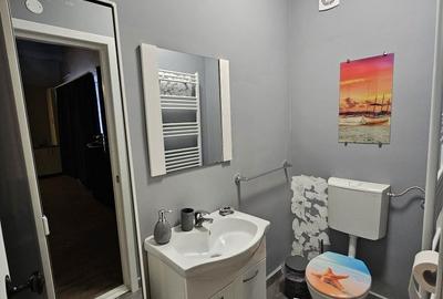 Spațiu comercial, de 46 mp, în Lotrioara - 4