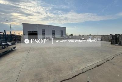 Spațiu comercial, de 1,950 mp, în Chitila - 8