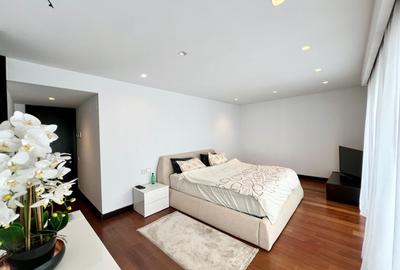 Apartament tip duplex de vanzare 5 camere zona Domenii, Bucuresti - 4