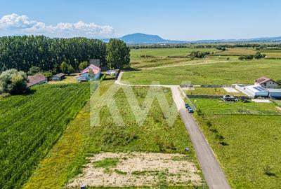 Teren pretabil constructie rezidentiala – Sanpetru - 6