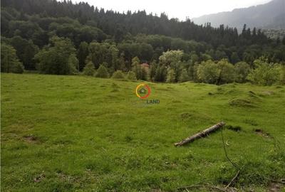 Teren de 1500 mp, în Central - 4