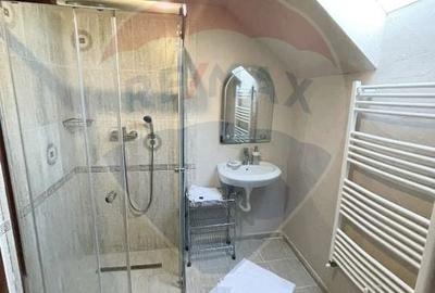 Casă individuală cu 7 camere cu Teren 167 Mp în Sibiel - 9