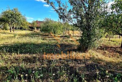 Casă cu 4 camere cu Teren 992 Mp în Suplacu de Tinca - 5