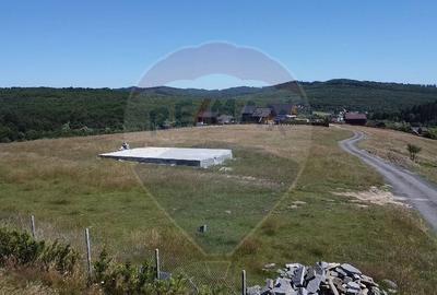 Teren 3,757mp Paltinoasa / Strada principala - 3