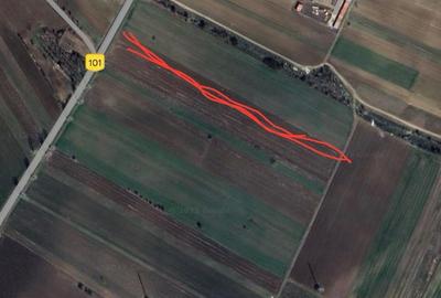 Ilfov, intre Magurele si Darasti - 2
