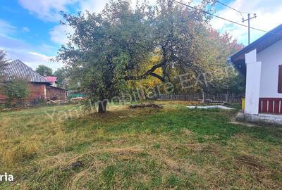 Casă cu 2 camere în Domnești - 13