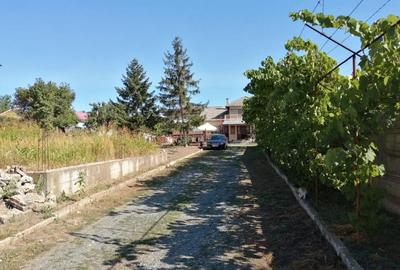 Teren 3500 mp Str Delfinului Foarte Aproape De Lacul Sutghiol - 7