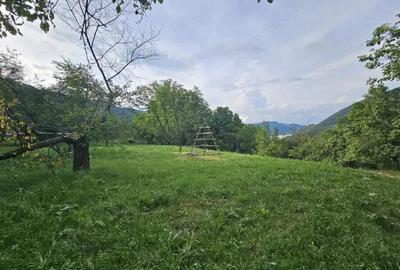 TEREN DE VANZARE SECIURI
