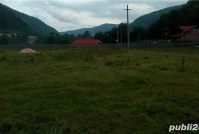 Teren de 2000 mp, în Rucăr - 2
