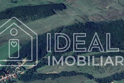 Teren extravilan de 127100 mp, în Mag - 2