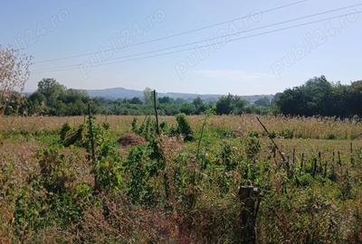 Casa+teren de vanzare in Adancata, Suceava - 5