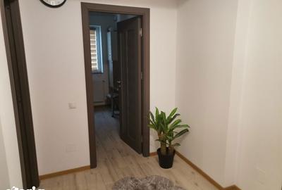 Apartament cu 2 camere în Banat - 8