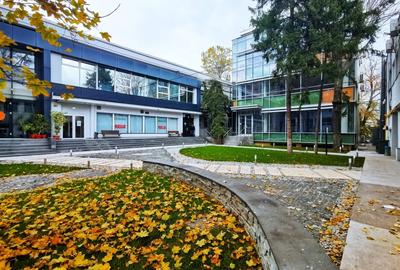 Spatiu comercial | Activitati diverse | Domenii | Cladire birouri - 4