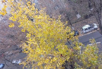 13 Septembrie Panduri-bloc mixt 1992-metrou Academia Militara - 10