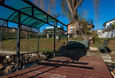 Snagov - Tancabesti - 1