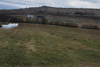 Casă cu 3 camere cu Teren 7400 Mp în Răscruci - 4