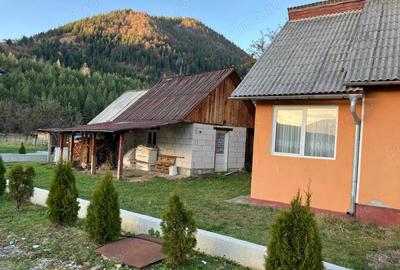 Casă cu 4 camere cu Teren 350 Mp în Băile Borșa - 3