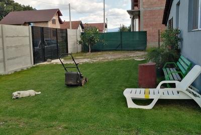 Casă cu 2 camere cu Teren 690 Mp în Colonia Mică - 5