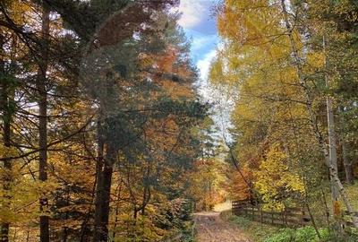 DE VANZARE Pensiune | 12 camere | Bisoca / Buzau - 18