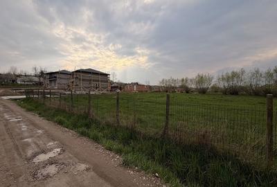 Casă cu 3 camere în Răchiți - 7