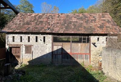 Casa de vanzare Ighiel, Alba - 8