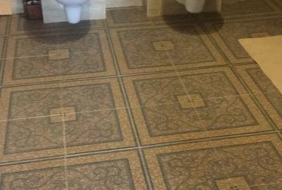 Inchiriez apartament la casa 6 km distanta de Cernavoda - 7