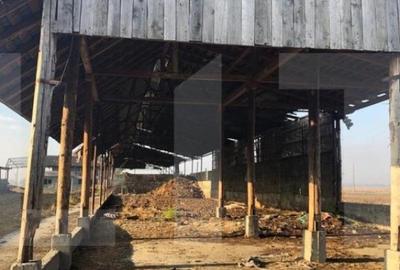 Ferma de vanzare in jud. Covasna, suprafata teren 4824 mp Ferma de vanzare in jud. Covasna, suprafata teren 4824 mp - 17