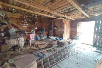 Casă cu 4 camere cu Teren 2500 Mp în Putna - 7