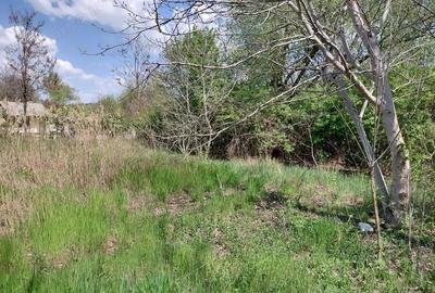 Teren de 3250 mp, în Central - 16