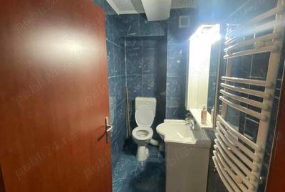 Inchiriere Duplex 2 camere plus mansarda - Drumul Valea Cricovului - 7