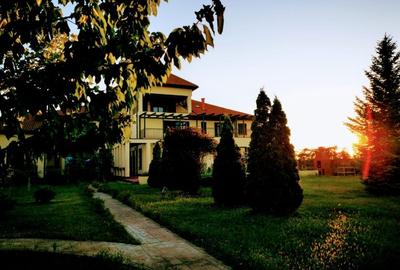 Casă individuală cu 8 camere cu Teren 7500 Mp în Samurcași - 8