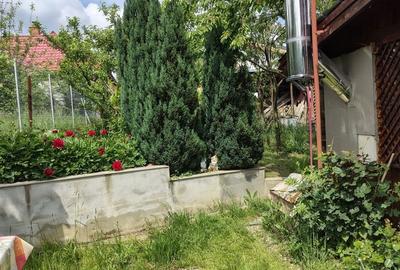 Casă cu 5 camere cu Teren 425 Mp în Sadu - 2