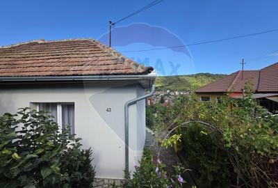 Casa / Vila de vanzare in Medias, str. Ghioceilor - 20