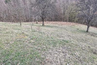 Casă cu 2 camere cu Teren 27263 Mp în Brusturi - 4