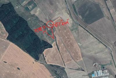 Teren de 1600 mp, în Central - 4