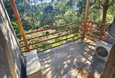 Duplex cu 9 camere cu Canalizare în Albert - 14